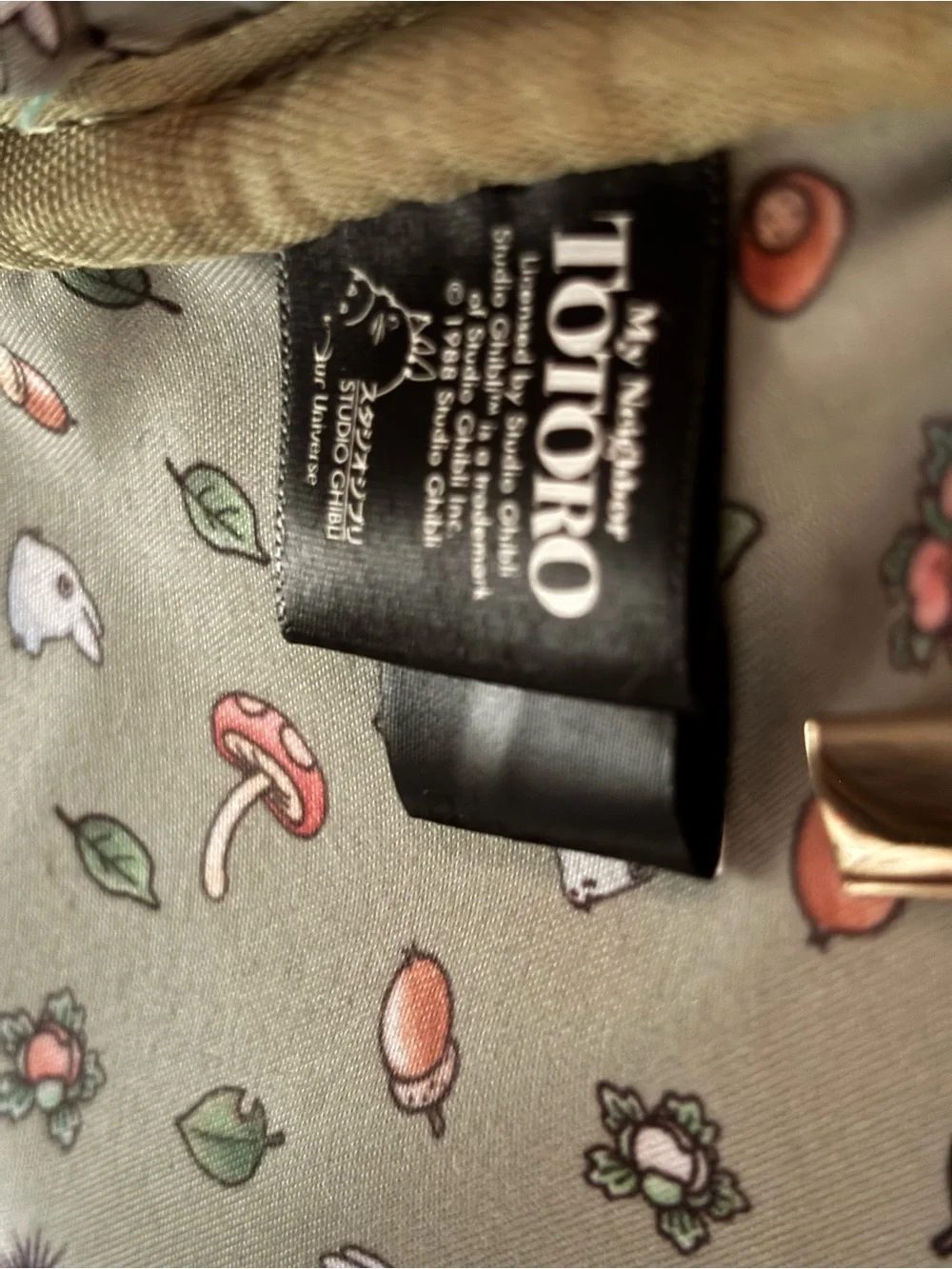 My Neighbor Totoro our universe